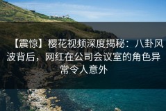 【震惊】樱花视频深度揭秘：八卦风波背后，网红在公司会议室的角色异常令人意外