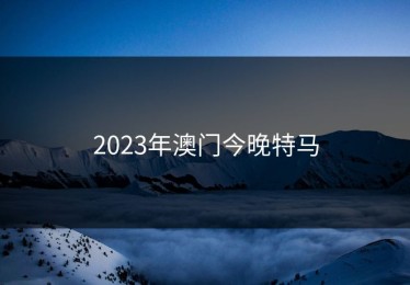 2023年澳门今晚特马