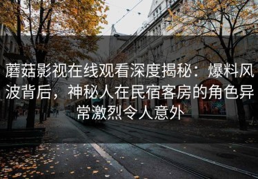 蘑菇影视在线观看深度揭秘：爆料风波背后，神秘人在民宿客房的角色异常激烈令人意外