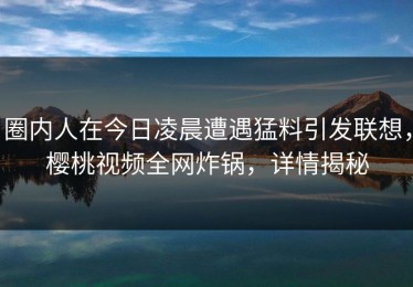 圈内人在今日凌晨遭遇猛料引发联想，樱桃视频全网炸锅，详情揭秘