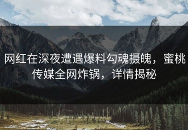网红在深夜遭遇爆料勾魂摄魄，蜜桃传媒全网炸锅，详情揭秘