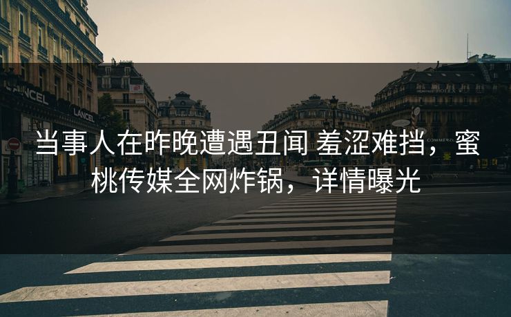 当事人在昨晚遭遇丑闻 羞涩难挡，蜜桃传媒全网炸锅，详情曝光