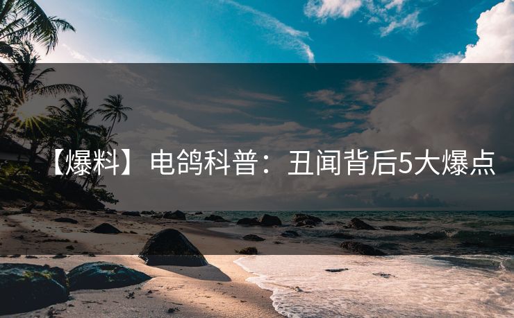 【爆料】电鸽科普：丑闻背后5大爆点