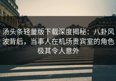 汤头条轻量版下载深度揭秘：八卦风波背后，当事人在机场贵宾室的角色极其令人意外